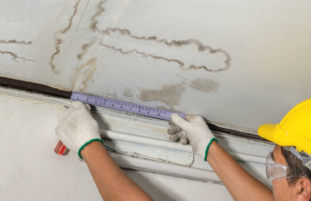 Reliable Water Damage contractor in Quantico, VA by Water Damage Irwin